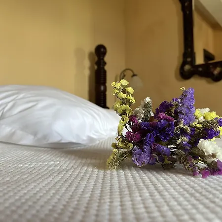 Hotel Palacio La Casona De