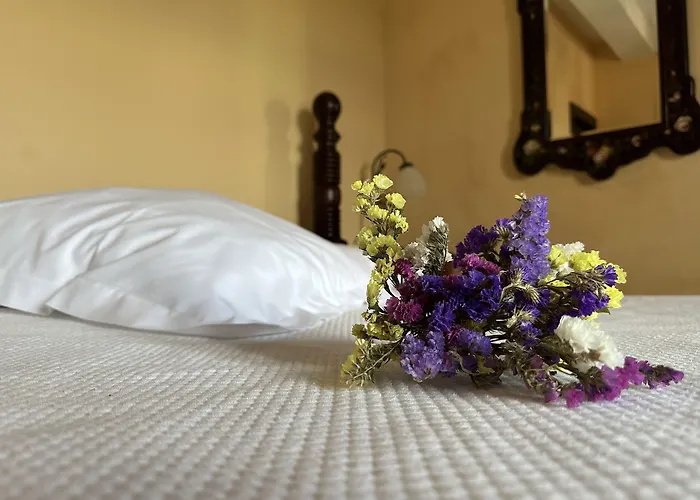 酒店 Palacio La Casona De