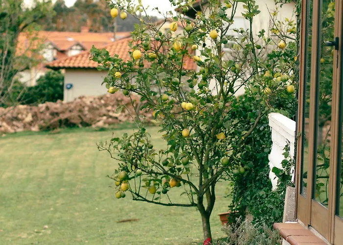 Palacio La Casona De 酒店