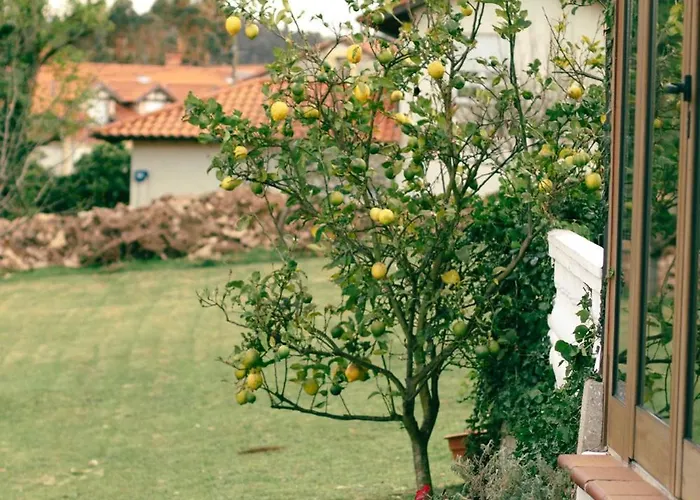 Palacio La Casona De Cerrazo